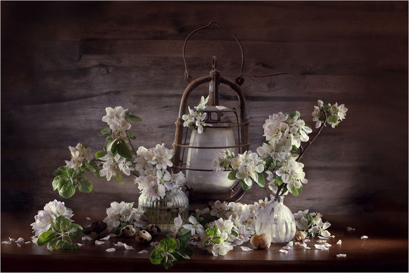 натюрморт,весна Цветы нового дня... фото превью