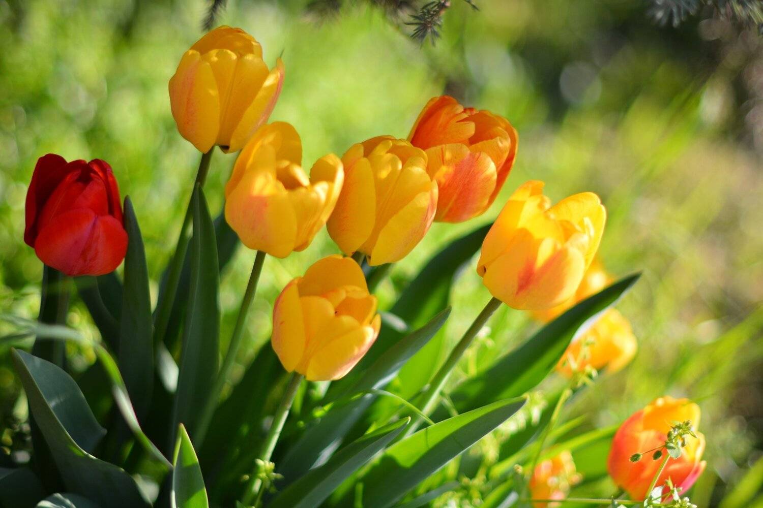 , Юрий Пужалин