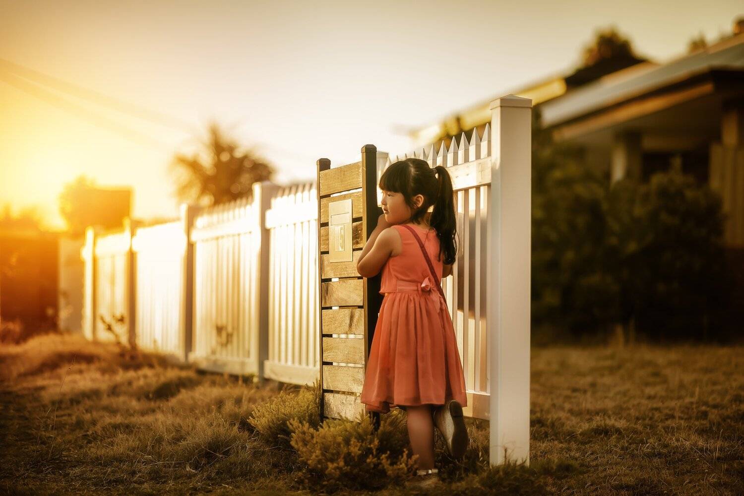 children, family, Despird Zhang
