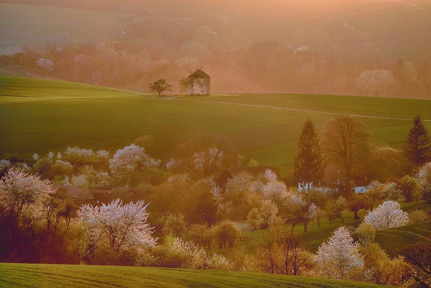 , Albena Andonova-Asa