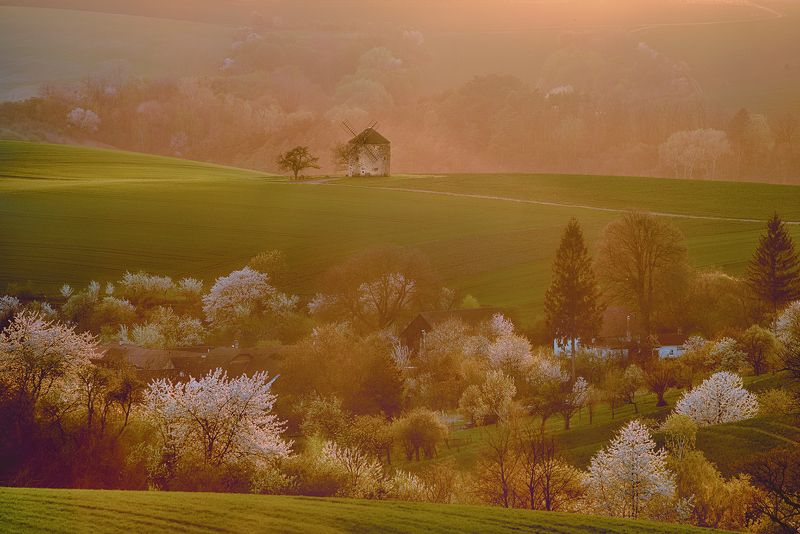 *** фото превью