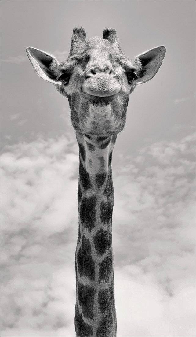 , Сергей Фудиненко