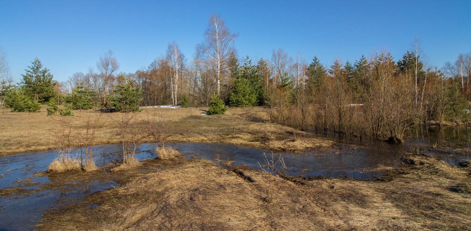 , Руслан Востриков