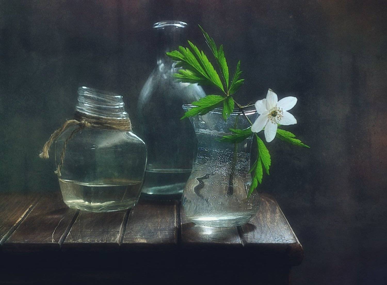 натюрморт,ветреница,анемона,стекло,весна, Наталия К