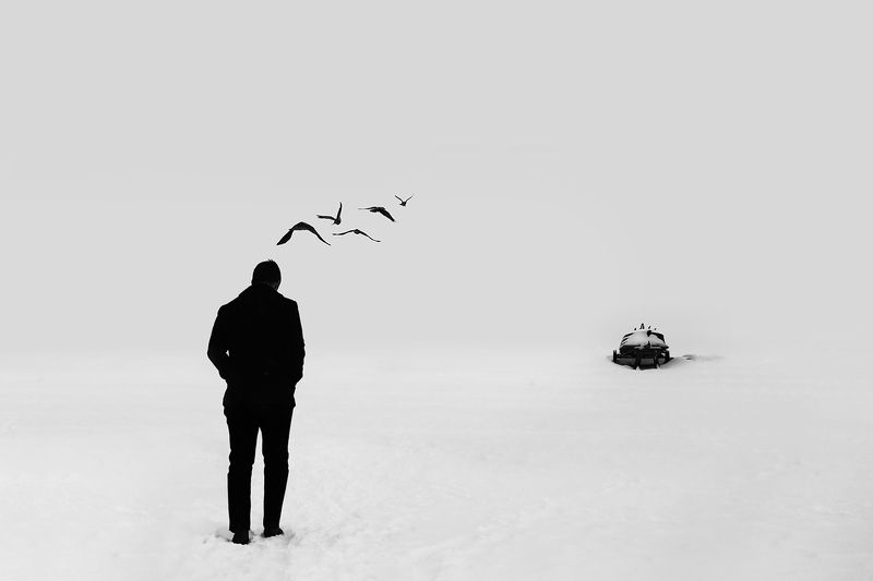 вороны, мысли, без конца, бесконечность, лодка, снег, зима, взморье, юрмала, минимализм Бесконечность фото превью