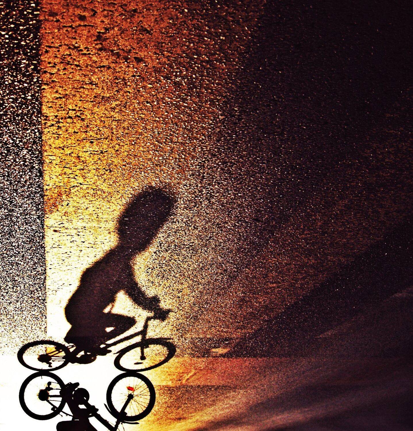 , Krzysztof Trojanowski