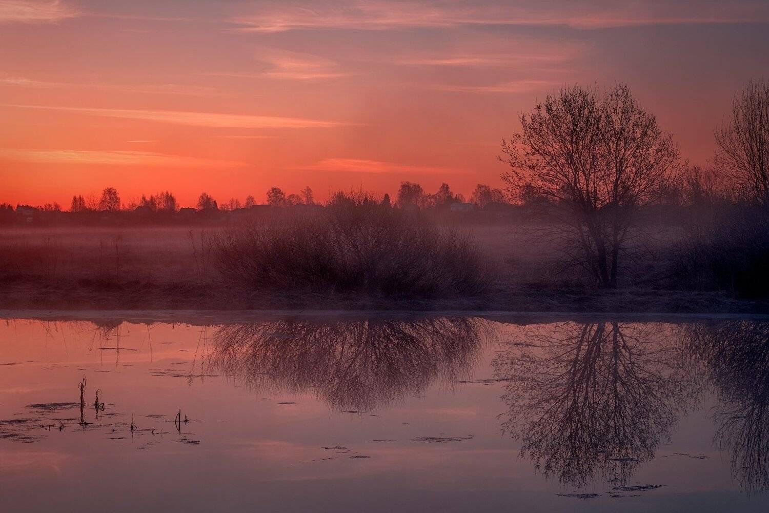 пейзаж, природа, деревня, рассвет, пруд, вода, озеро, отражения, небо, деревья, путешествие, Андрей Чиж