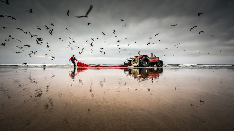 hugo StrongMan фото превью