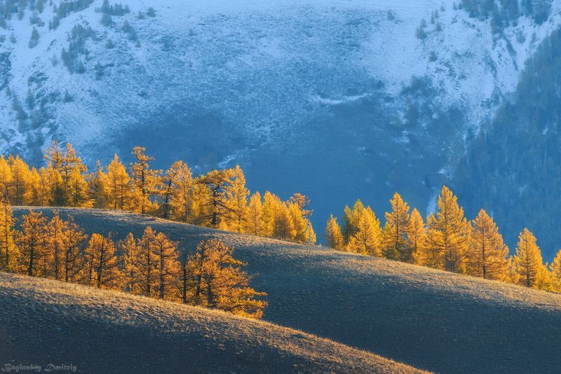 Алтайские склоны. фото превью