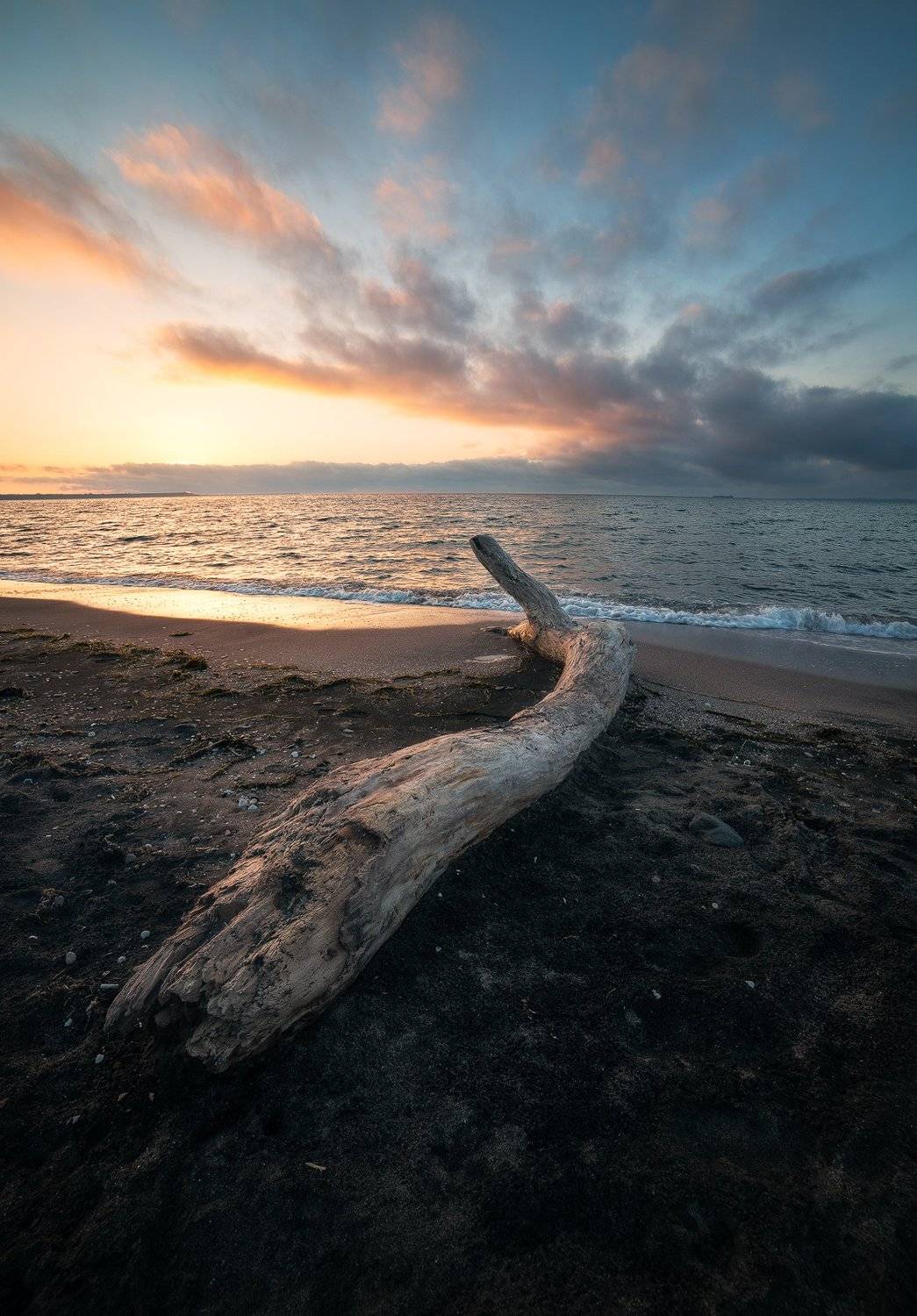 , Иван Димов