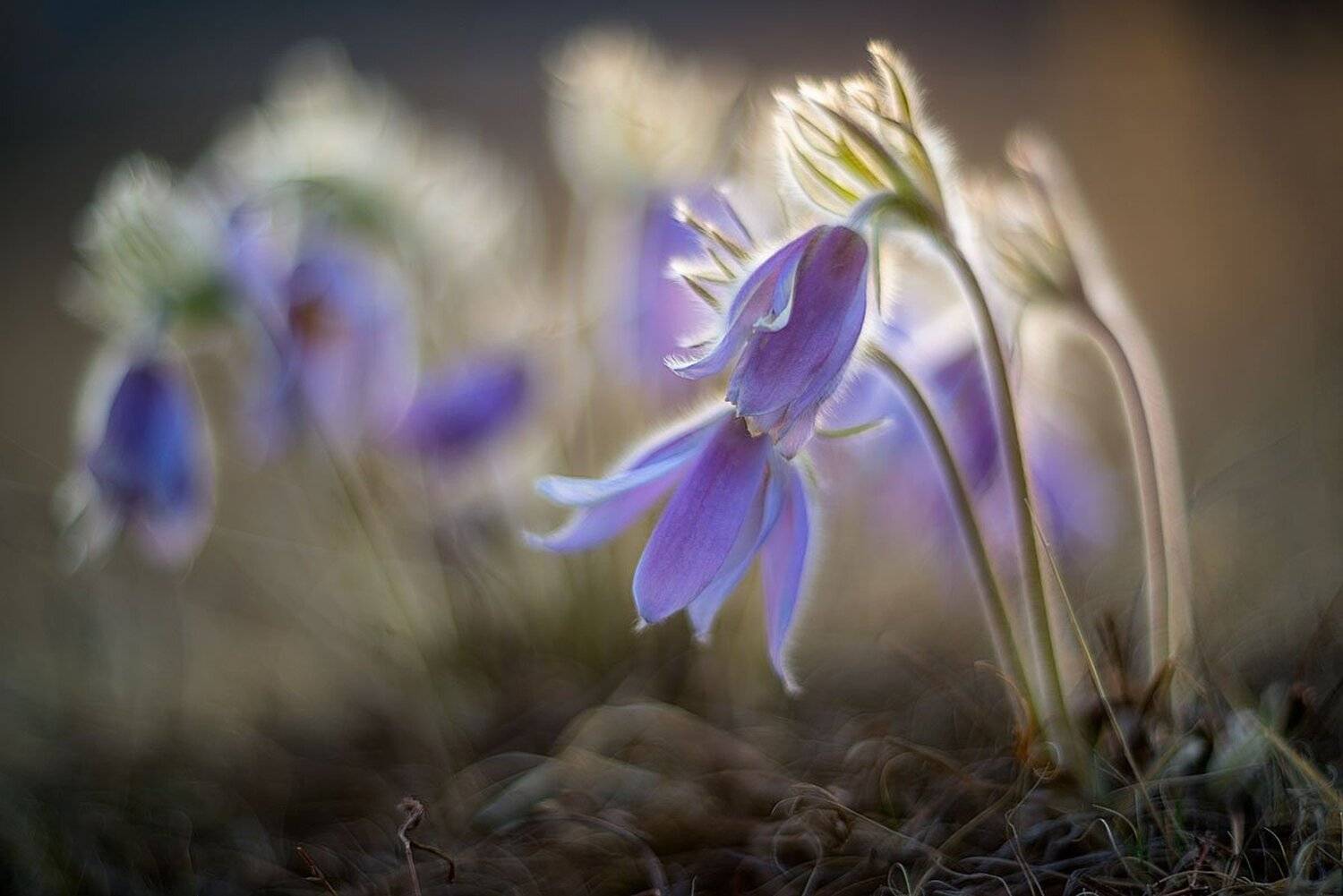 , Сергей Брагин