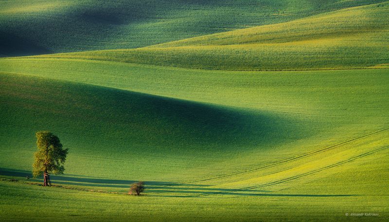 пейзаж, моравия, весна Моравия... весна... утро... фото превью