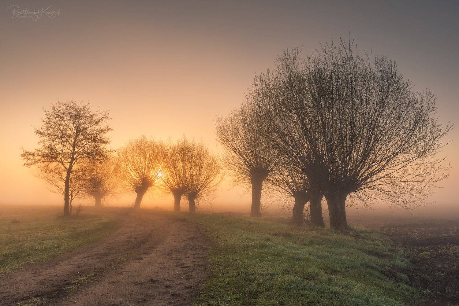 , Bartłomiej Kończak