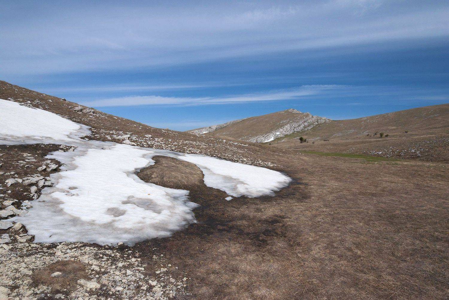 , Саша  Вайсберг / Waldschnepfe /