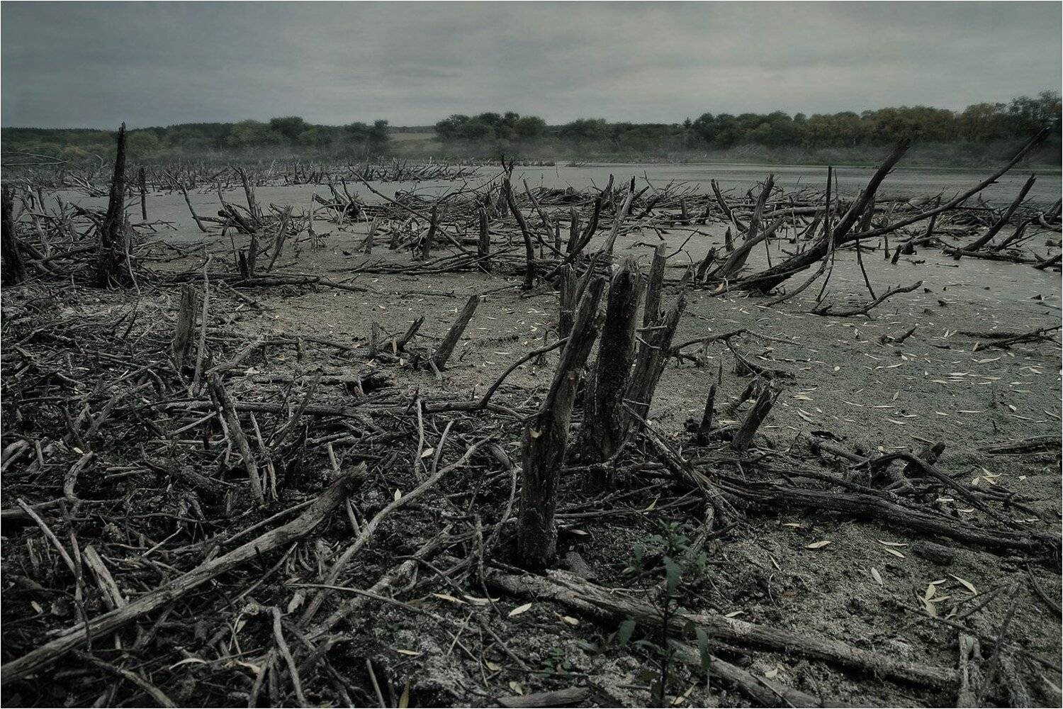 , Виктор Кириллов