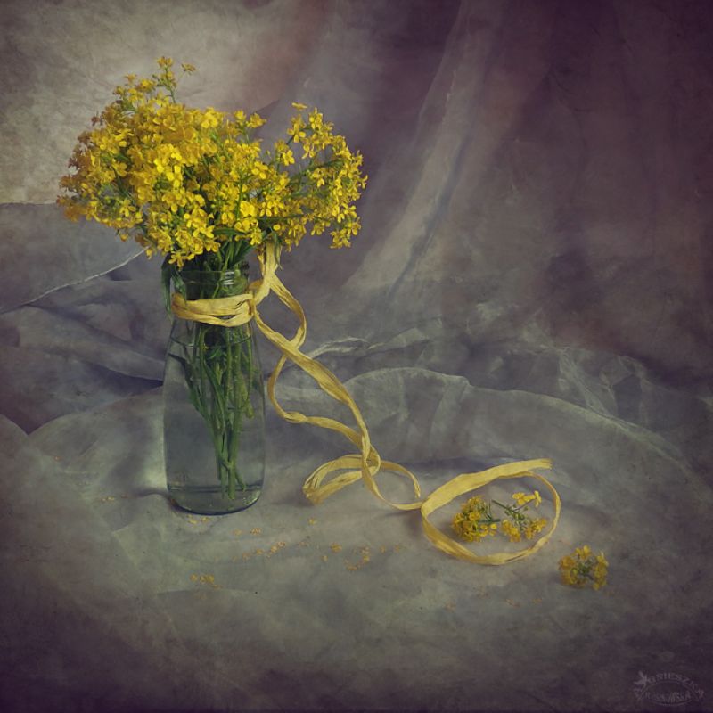 Cztery pory roku - Wiosna фото превью