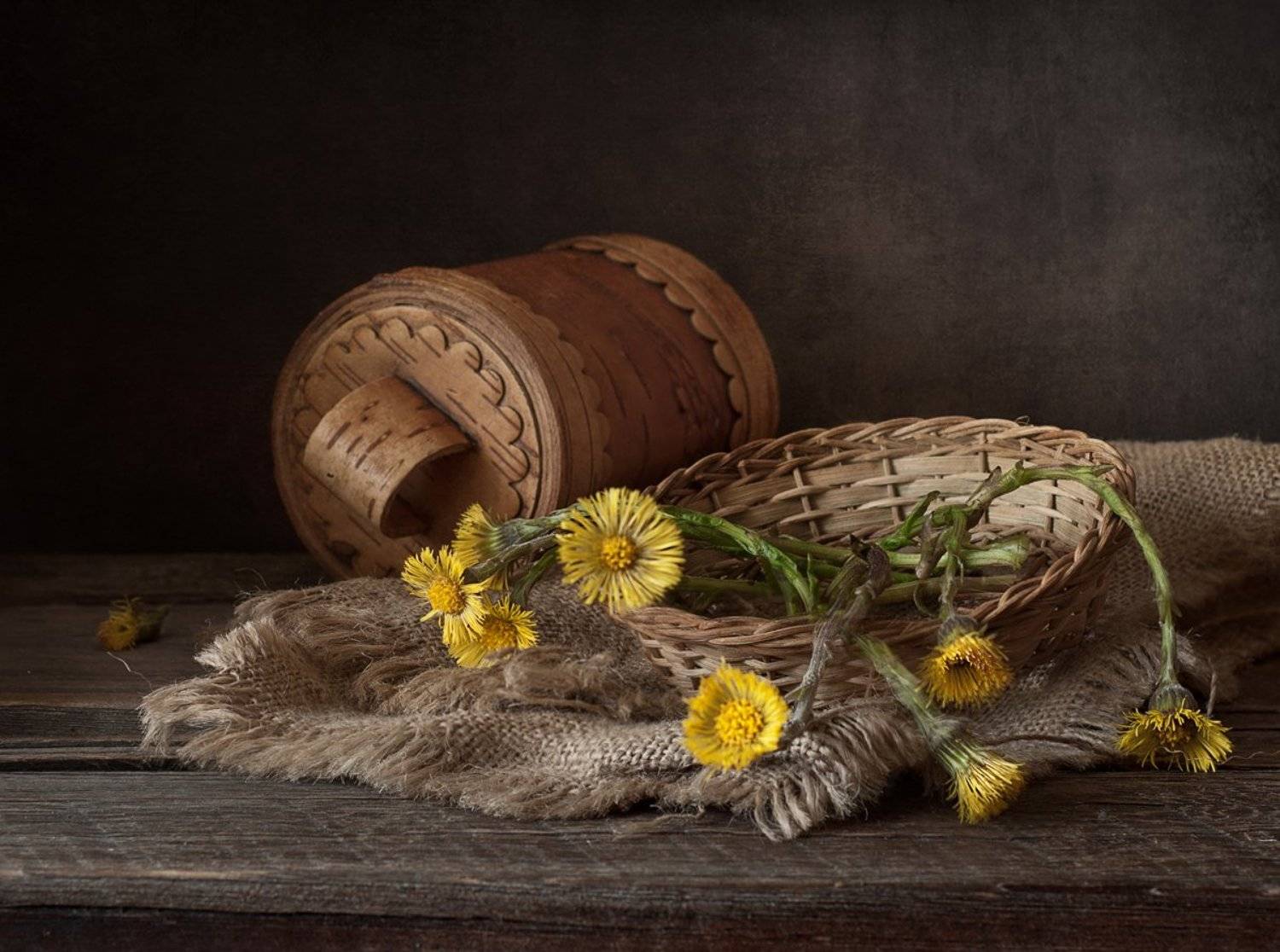 натюрморт,мать-мачеха,весна,первоцветы, Наталия К