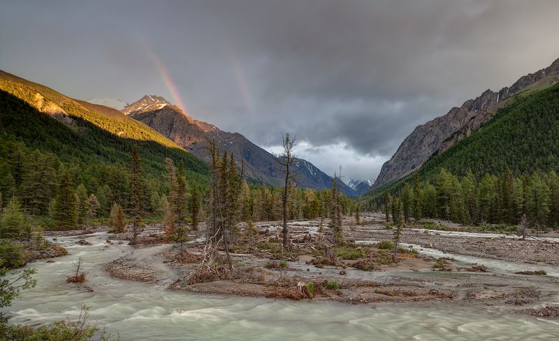 Дождь прошел фото превью
