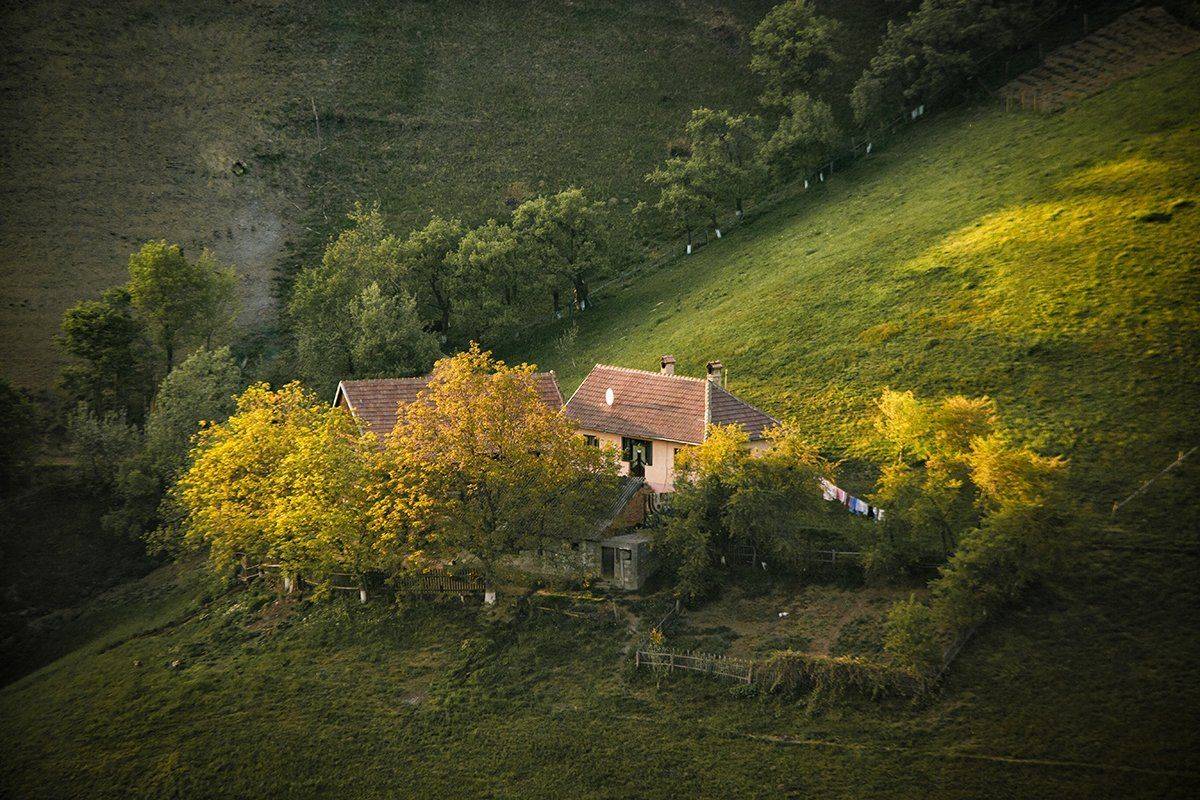 , Nicolae Fanurie Chirobocea