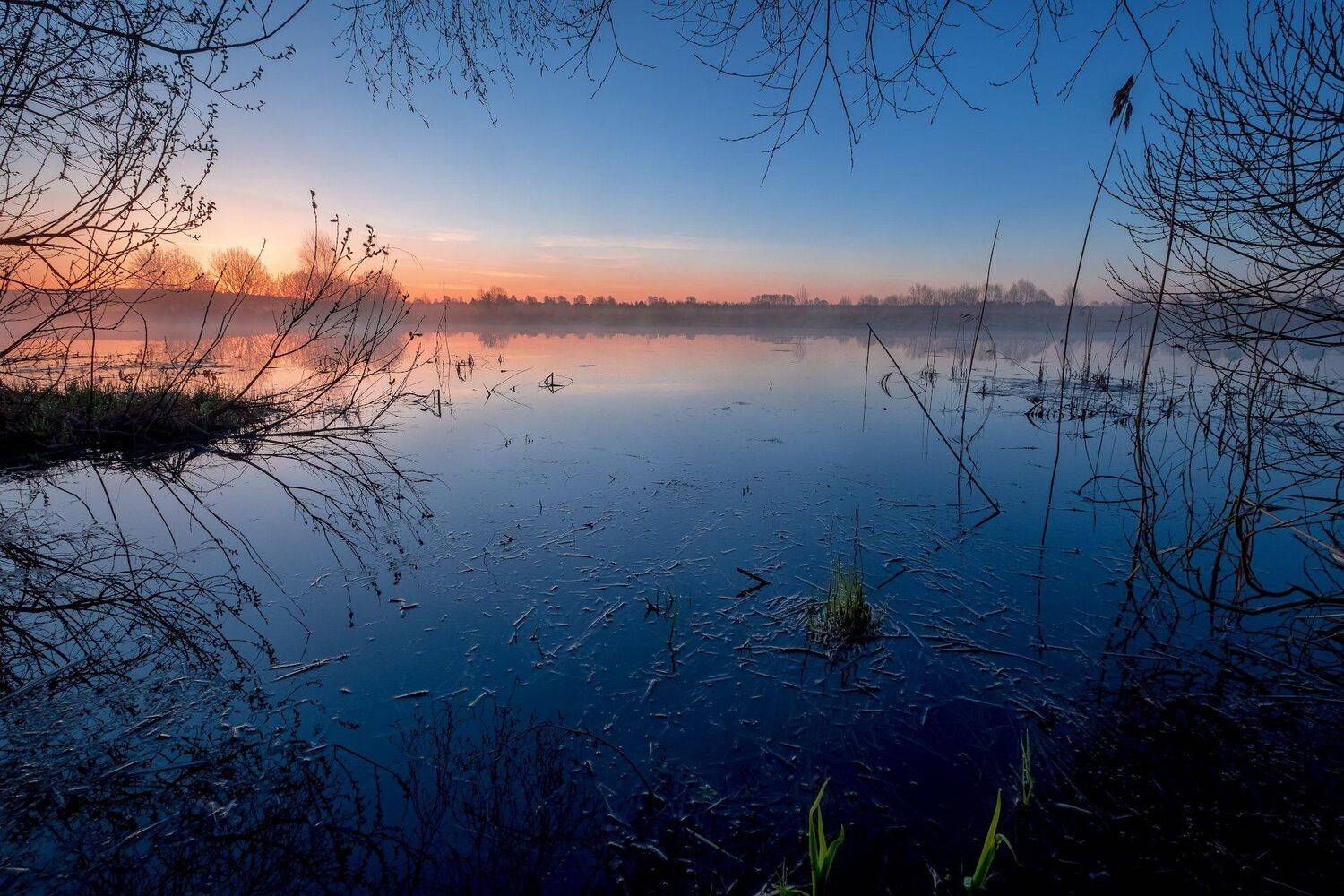 пейзаж, весна, апрель, разлив, рассвет, утро, дерево, пруд, туман, Андрей Чиж