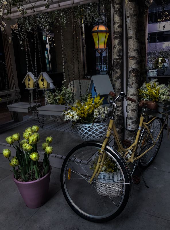 Городской этюд-1 фото превью