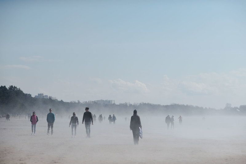 зомби, залив, туман, море, пляж, люди, сюр ходячие мертвецы фото превью