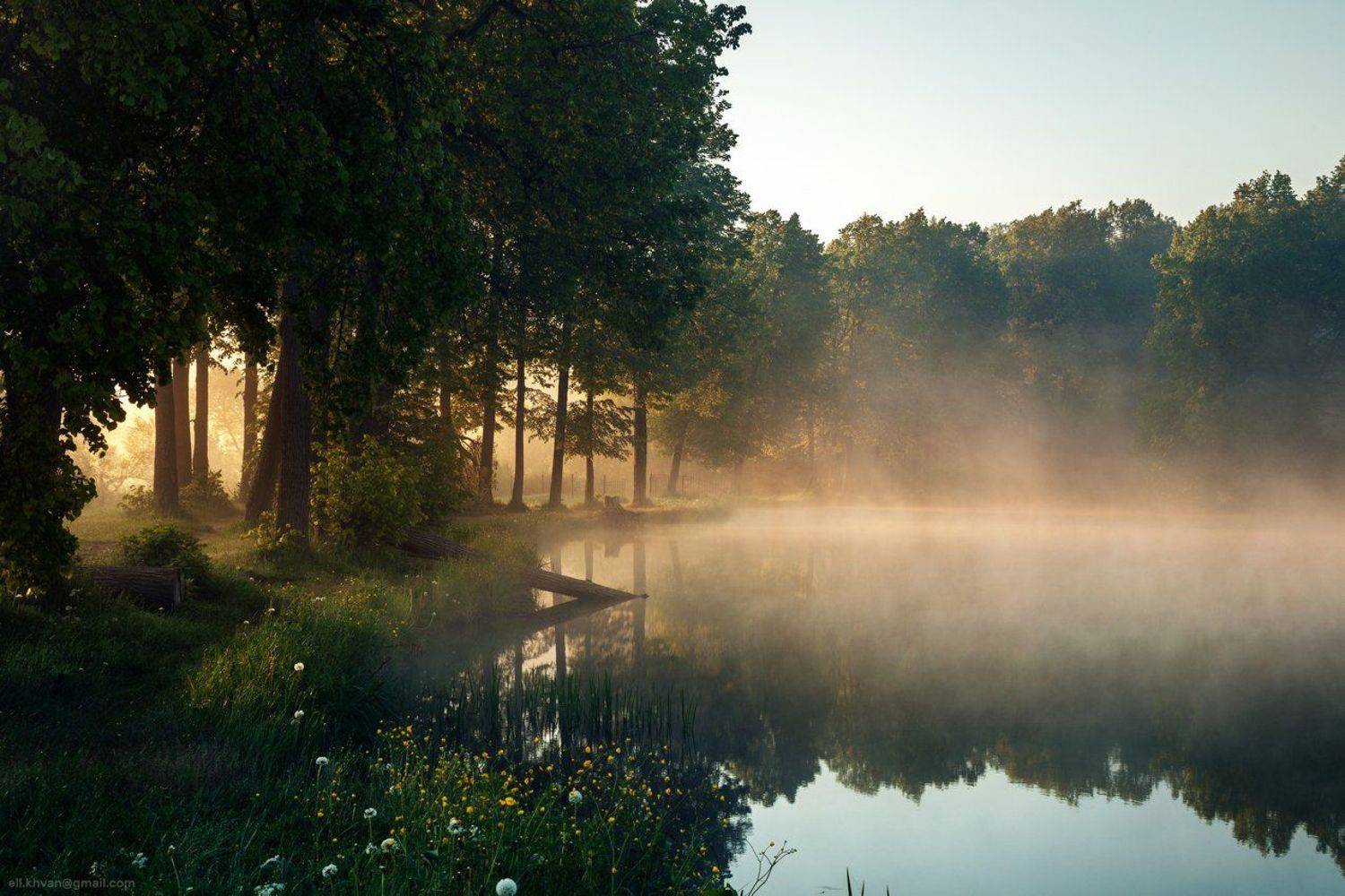 Середниково, Рассвет, Подмосковье, озеро, усадьба Лермонтова, июнь, туман, Элина Хван