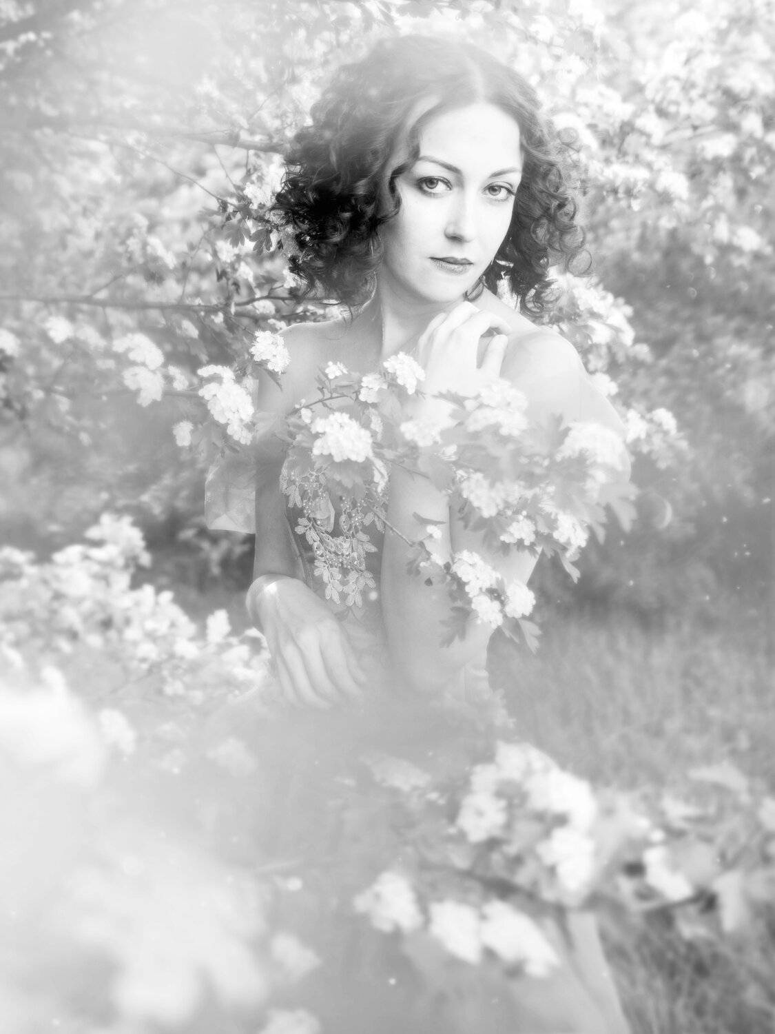 , Владимир Осауленко