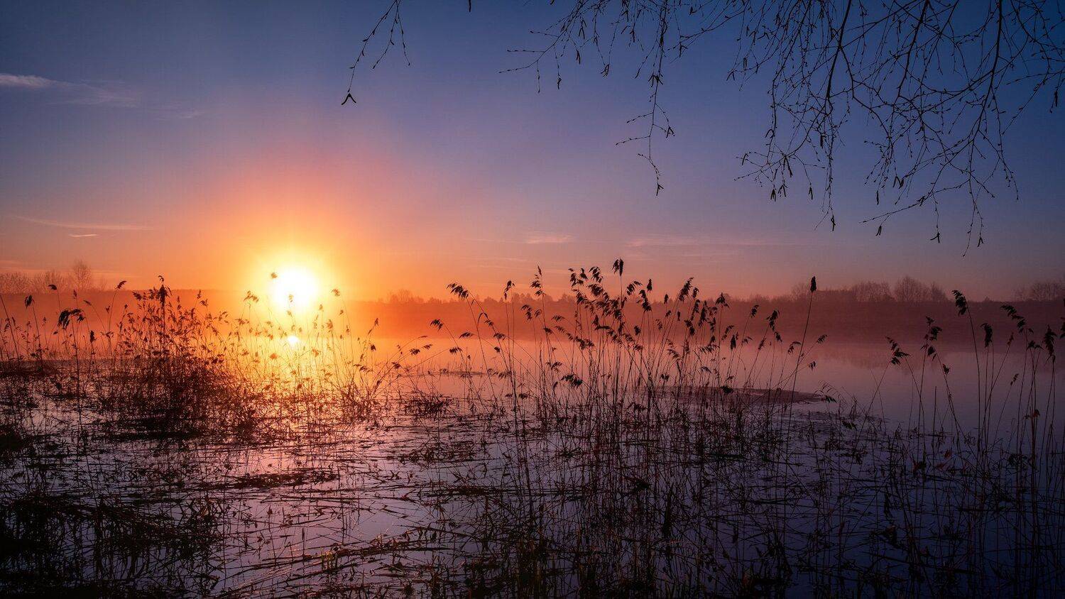 пейзаж, весна, апрель, разлив, рассвет, утро, пруд, туман, река, волга, деревня, Андрей Чиж