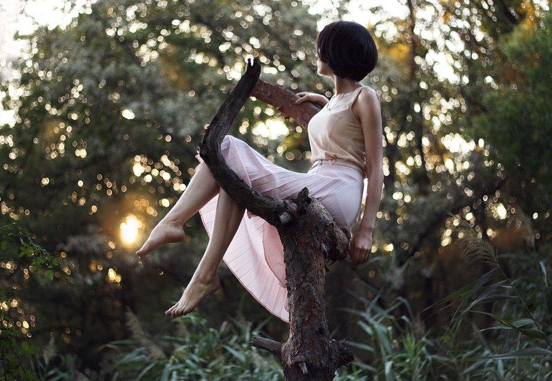 girl, model, tree, sunset, beautiful, portraiture The Dreamer фото превью