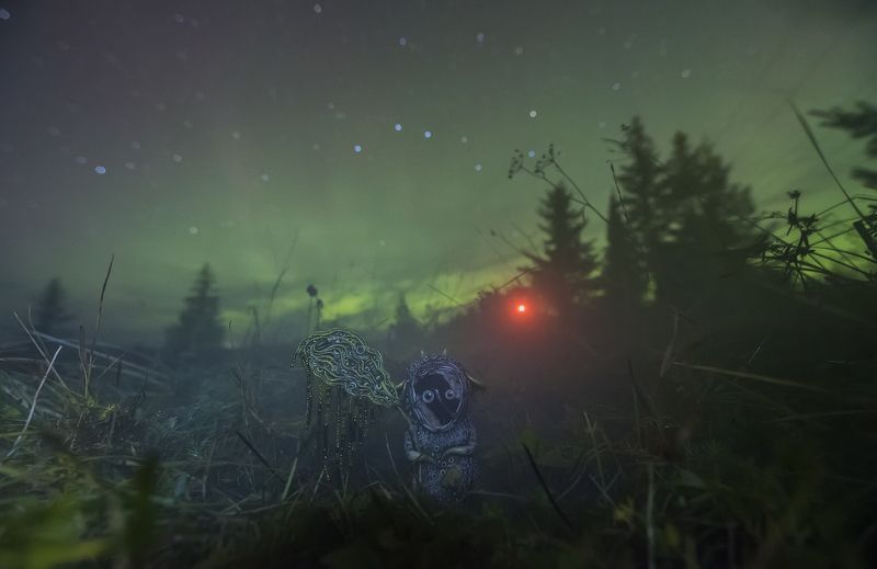 северное сияние, звезды, ночь, верхняя тойма,  Aurora Borealis, stars,  night, river ловец северного сияния фото превью