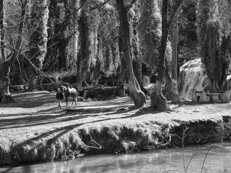 Morocco, Fez, Landscape, Morning, Black and white, Monochrome A morning walking фото превью