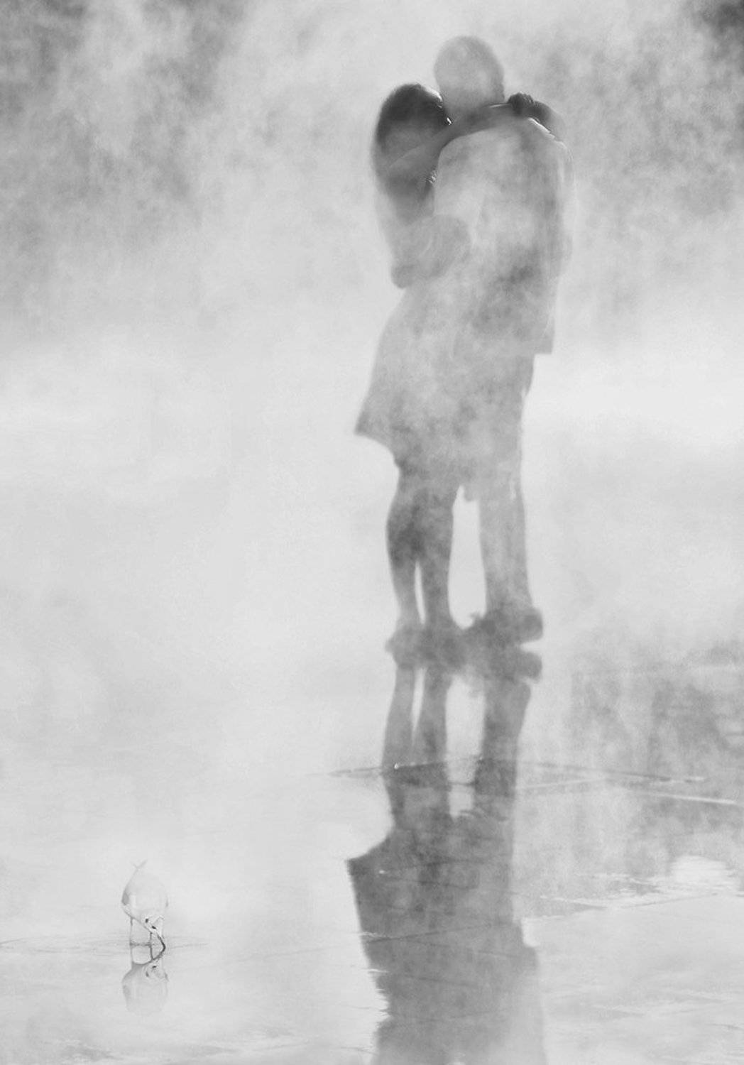 пар, вода, отражение, объятия, влюблённые, ницца, молодёжь, ALLA SOKOLOVA