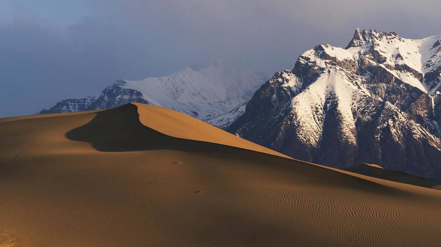 , Сергей Козлов