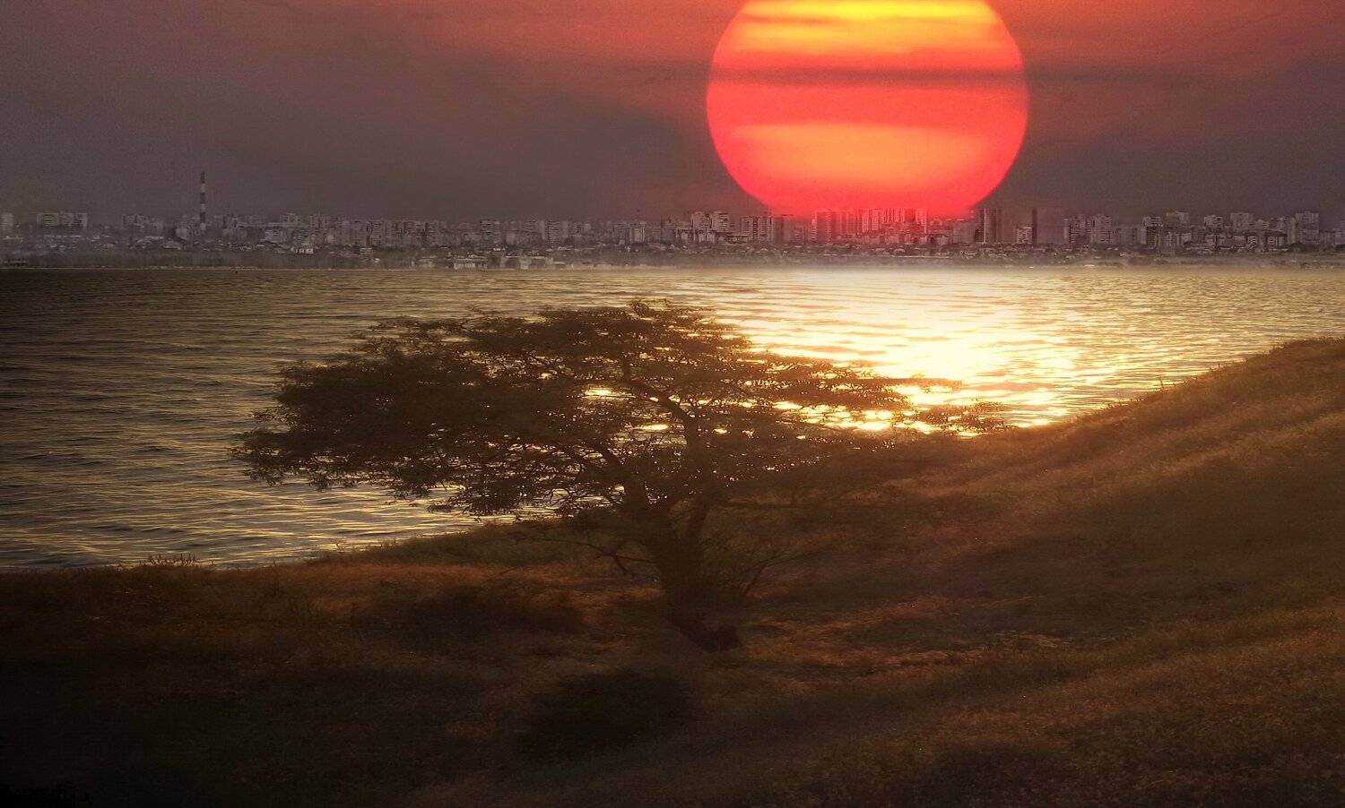 одесса, Сергей Кошелев