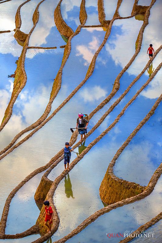 quanphoto, landscape, vertical, people, clouds, reflections, surface, farmland, agriculture, vietnam, rural Vertical Limit фото превью