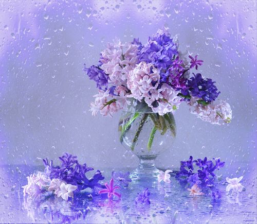 По веселым лужам шлепаю я в лето...