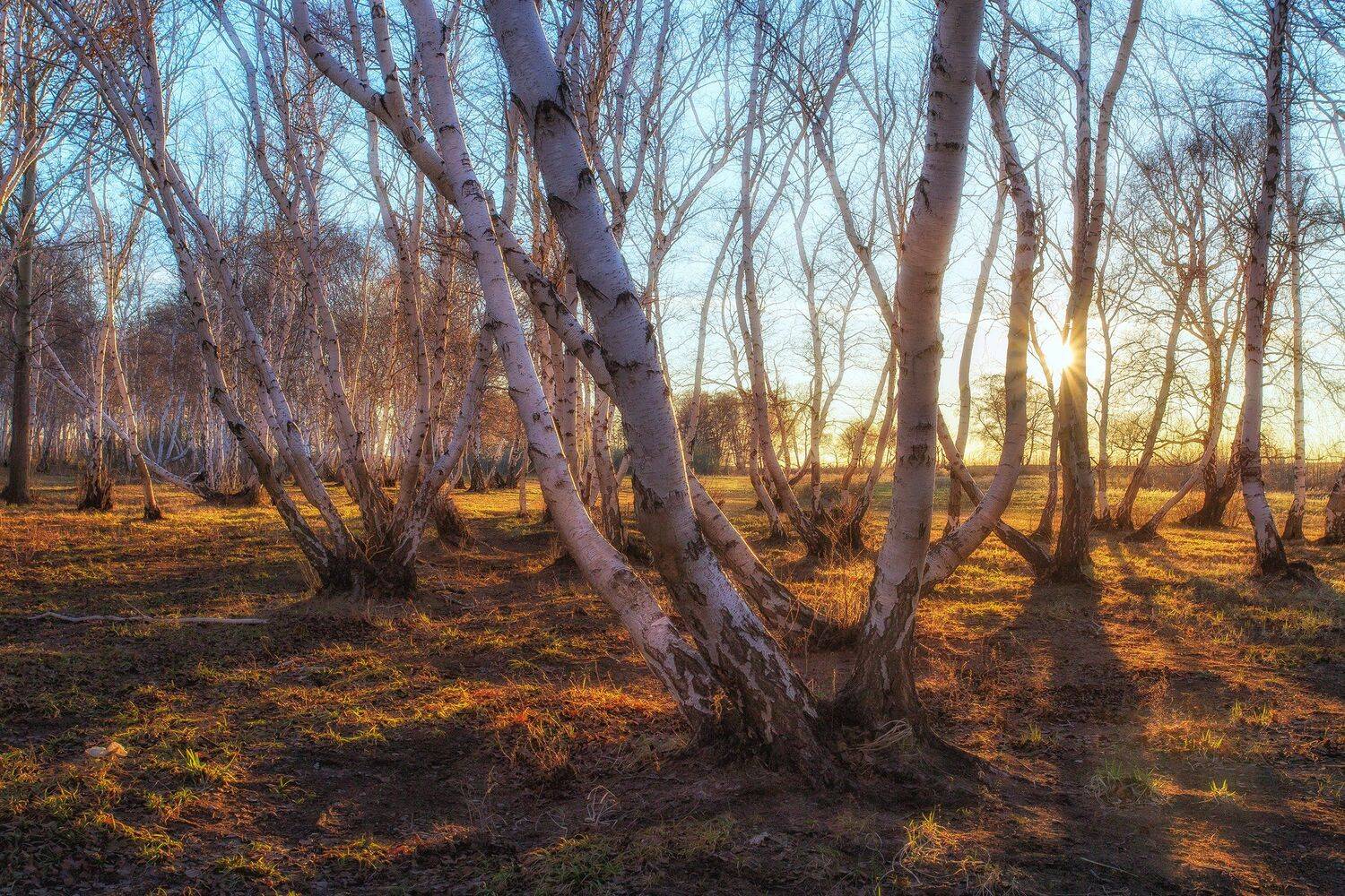 , Павел Сагайдак