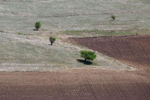 Минимализм-