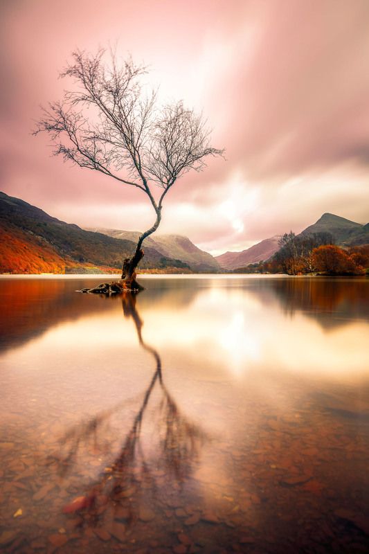 solitude фото превью