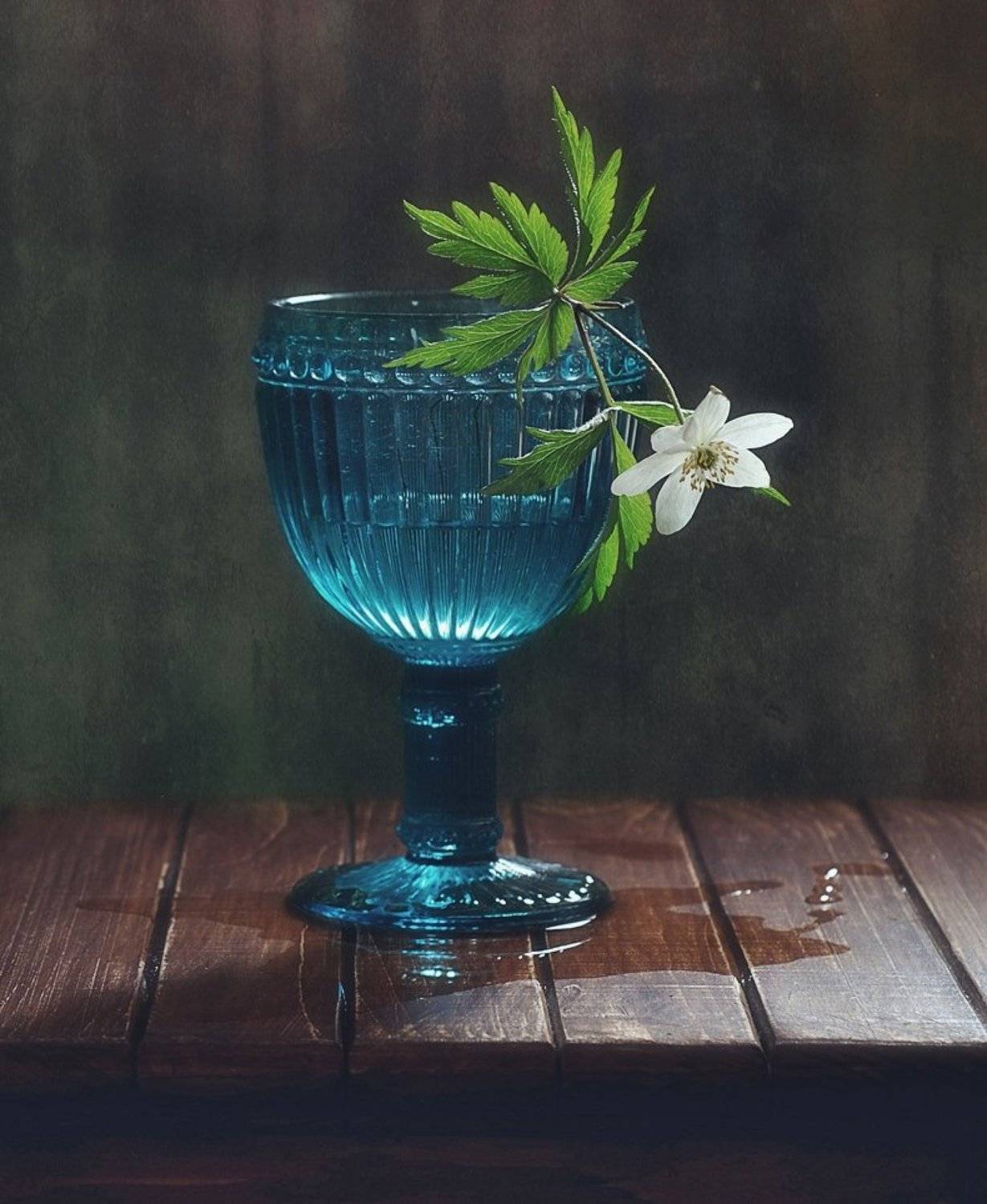 натюрморт,анемона,ветреница дубравная,весна,цветы, Наталия К