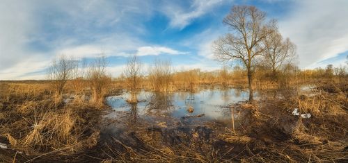Тульские пейзажи ранней весны