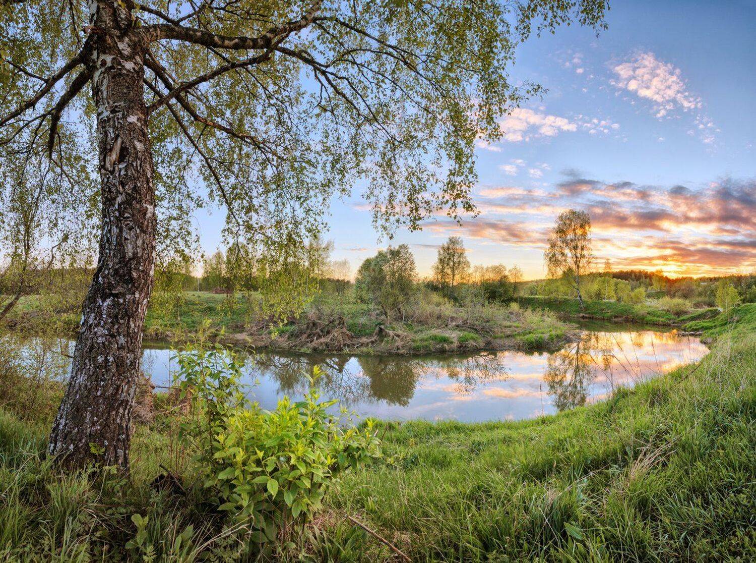 , Николай Андреев
