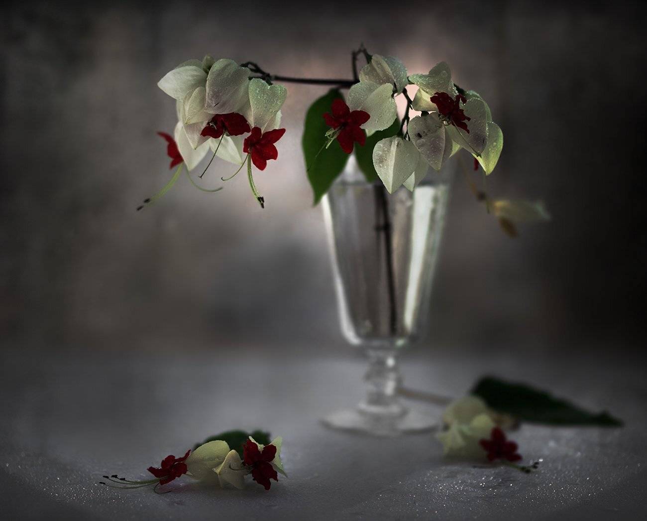 , Елена Рубинская