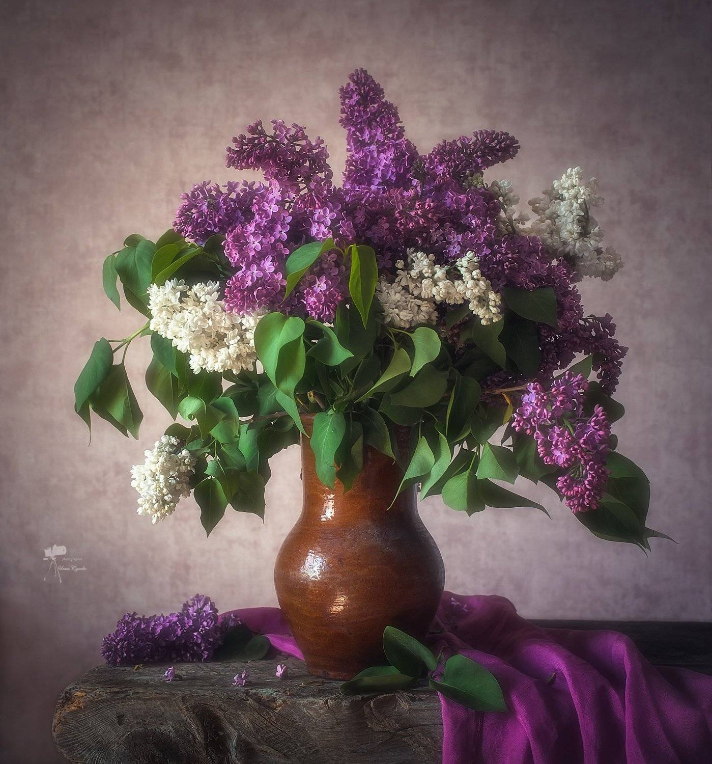 , Инна Сухова