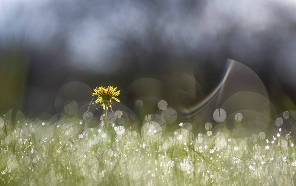 , Андрей Степанов