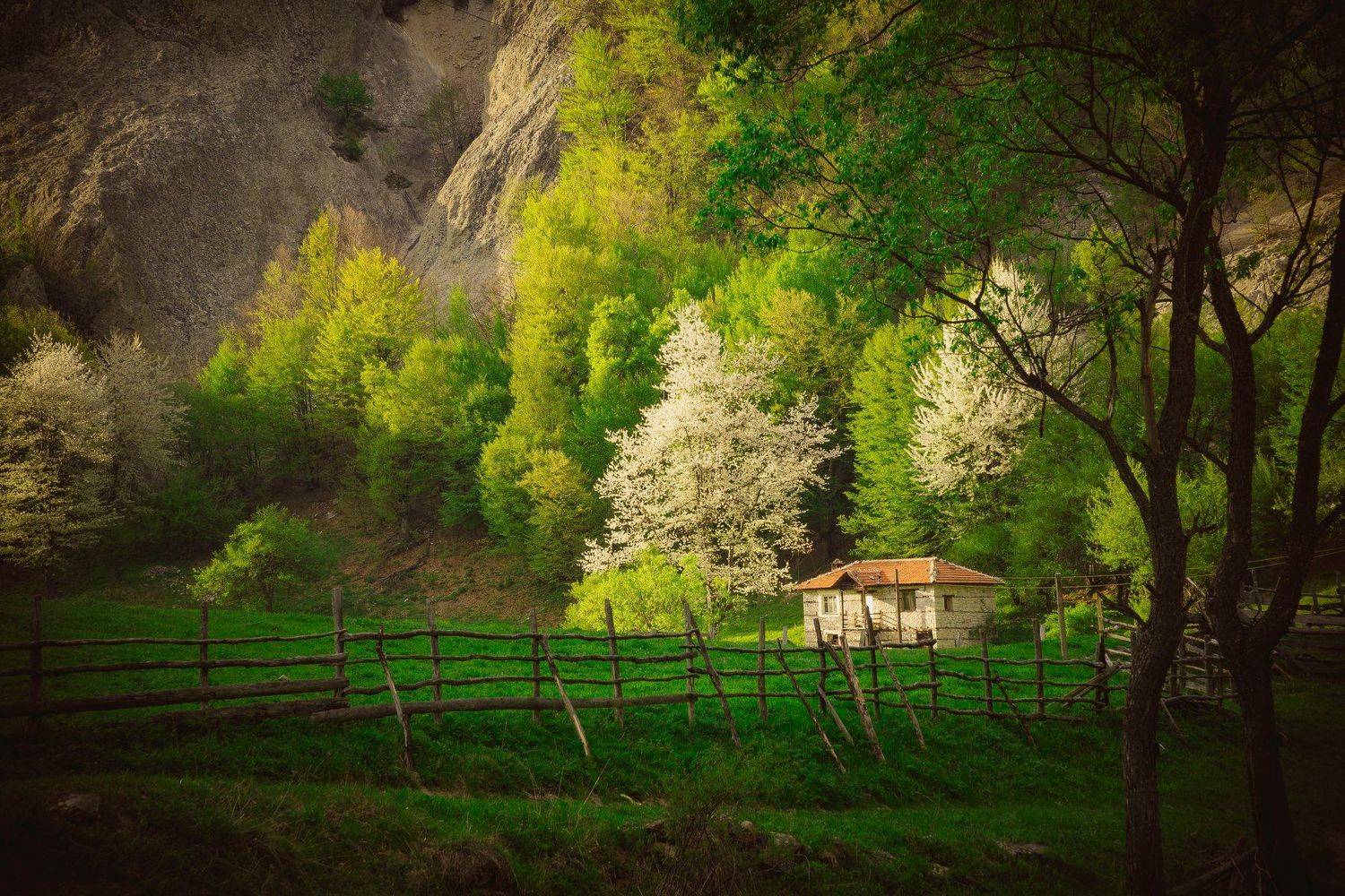 sonya6000, Tihomir Petkov