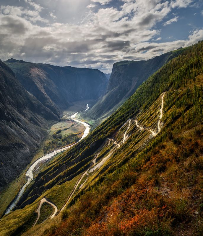 природа, пейзаж, алтай, горы, осень, река, чулышман, панорама, сибирь, Зигзаги фото превью