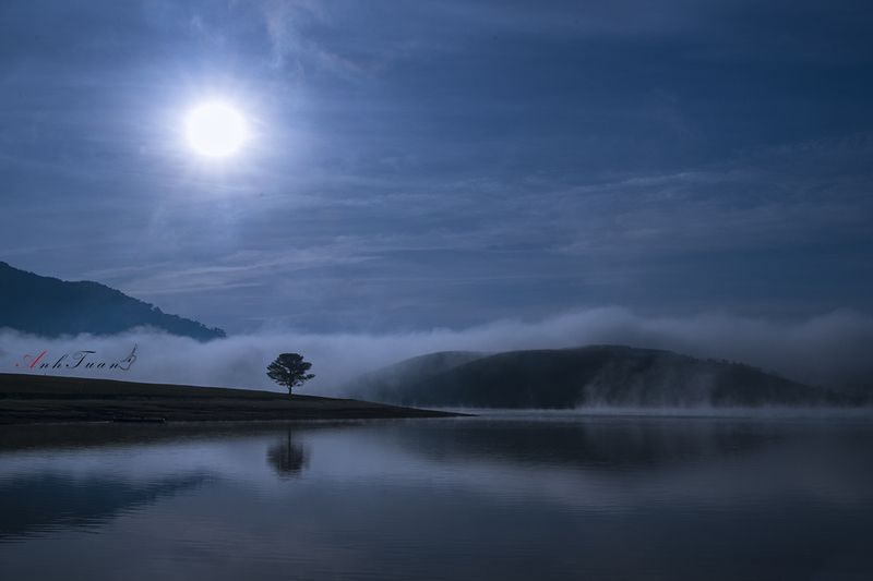 Alone фото превью