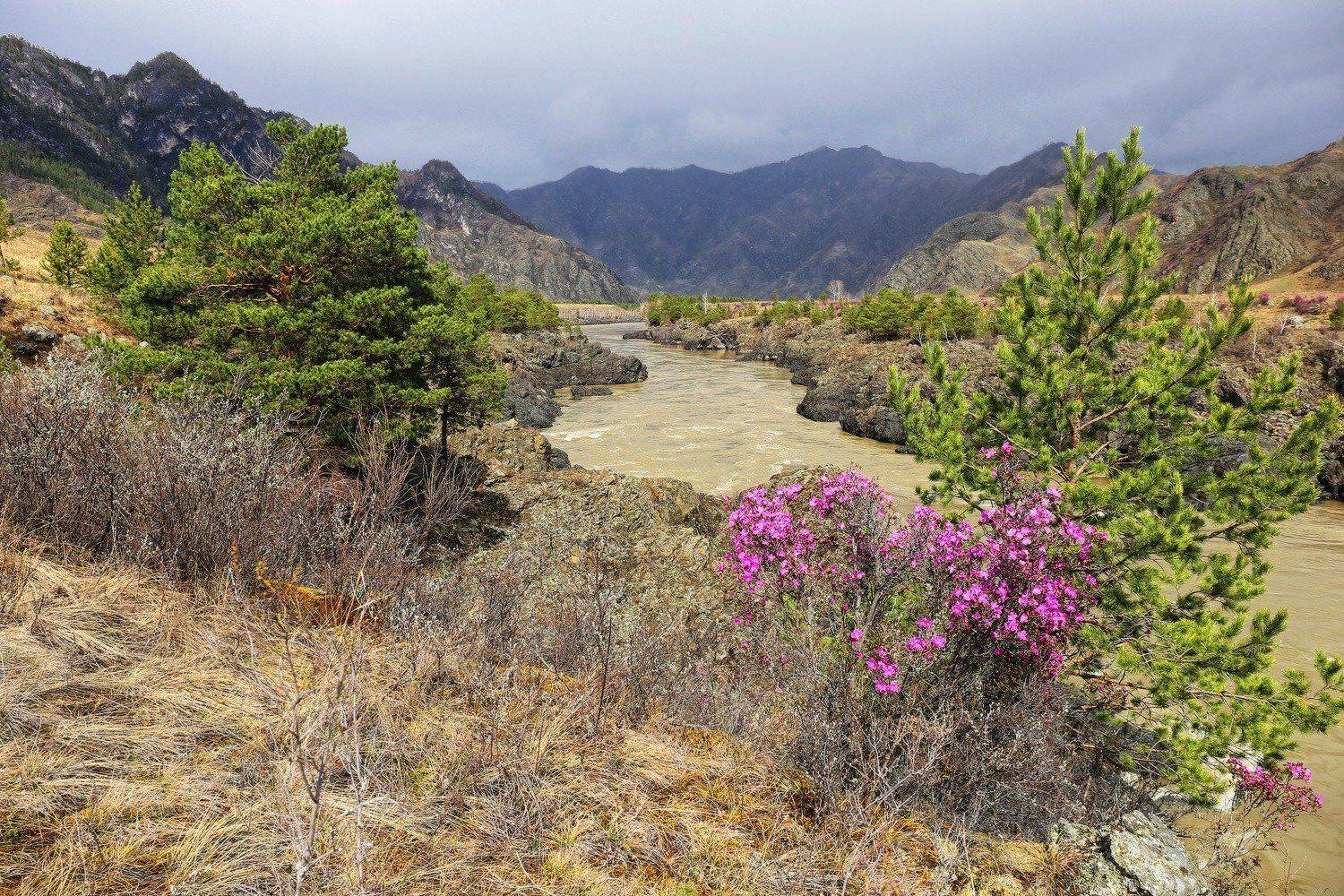 , Галина Хвостенко